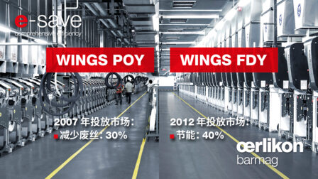 可持续发展先锋