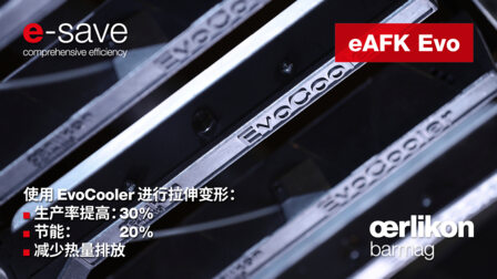 可持续发展先锋